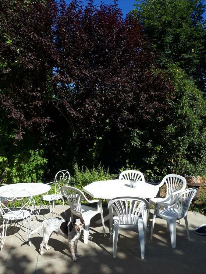 Saint-Eusebe Mansion - Hotel Particulier St-Eusebe Auxerre Luaran gambar
