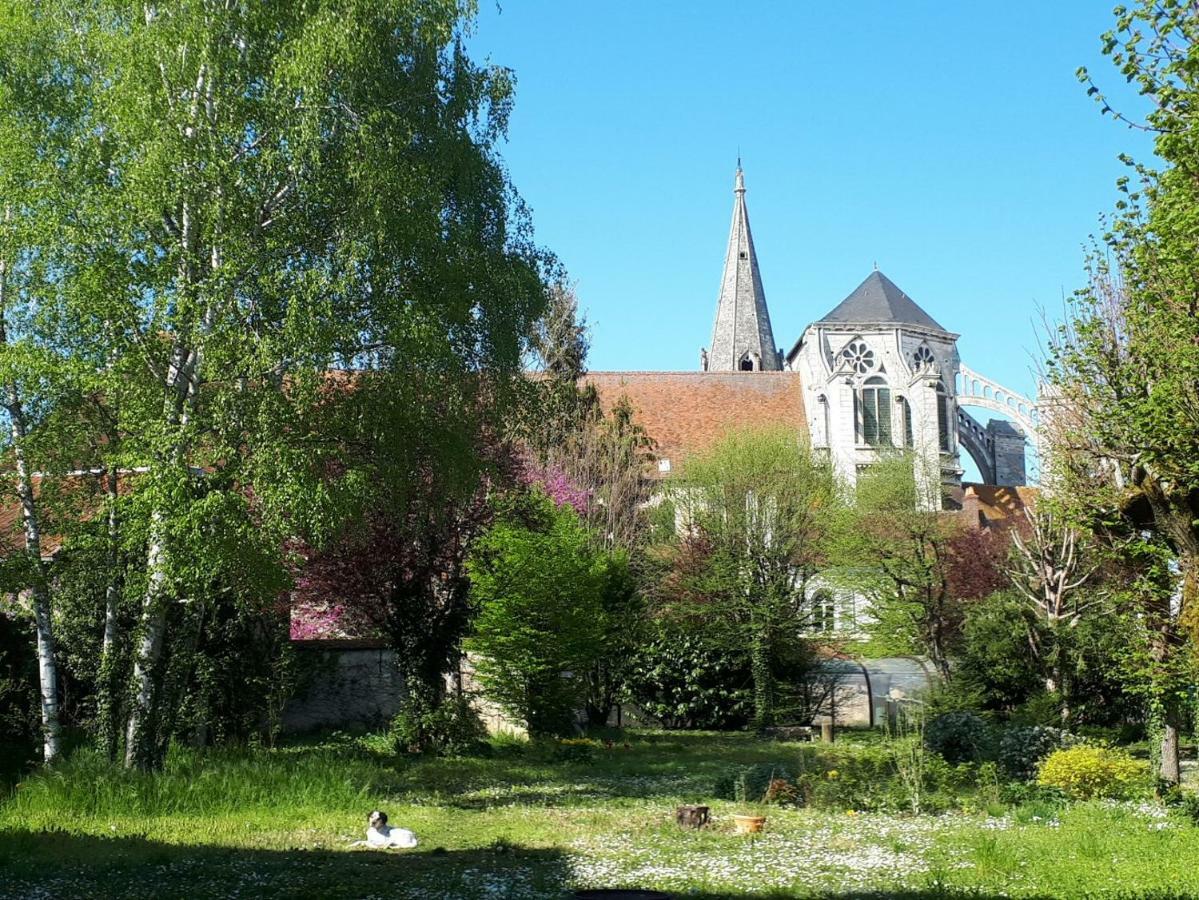 Saint-Eusebe Mansion - Hotel Particulier St-Eusebe Auxerre Luaran gambar